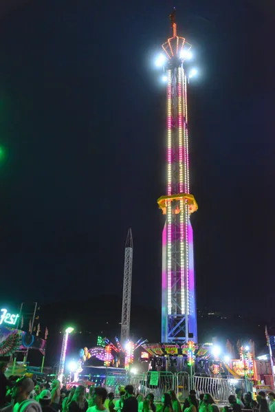 DSC_7793 (Large).JPG